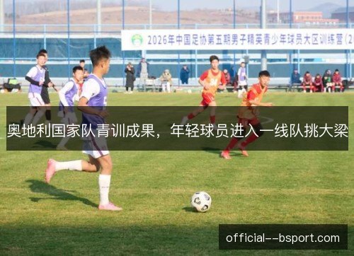 奥地利国家队青训成果，年轻球员进入一线队挑大梁